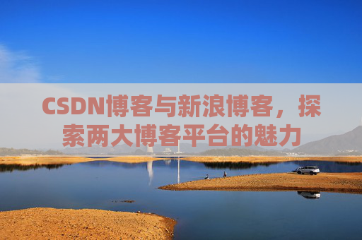 CSDN博客与新浪博客，探索两大博客平台的魅力